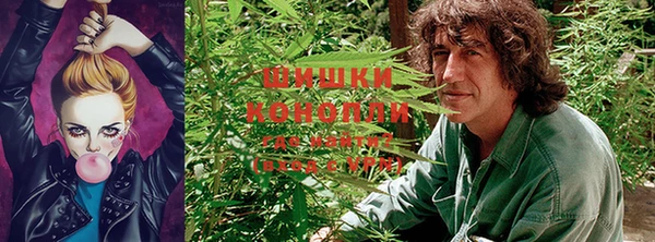 PSILOCYBIN Алзамай