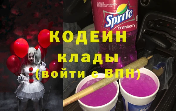 PSILOCYBIN Алзамай